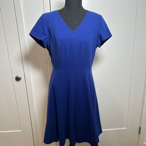 Tahari Blue Women's Dress